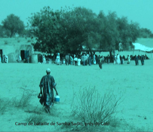 Amary Ndack Seck, le résistant contre la conquête coloniale (1871-1875)